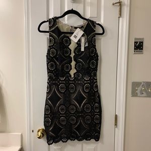NWT! Black & Tan Lace mini dress